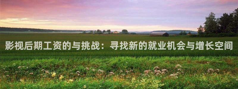 青丝影院在线电影：影视后期工资的与挑战：寻找新的就业机会与增长空间
