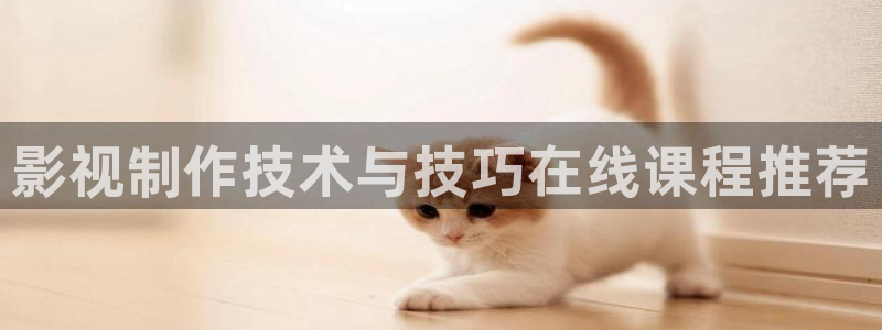 青丝影院在线观看最新电视剧：影视制作技术与技巧在线课程推荐