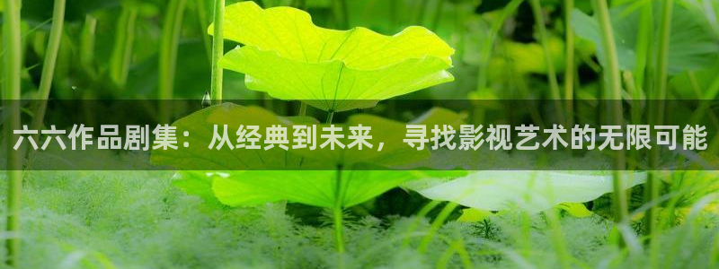 青丝影院手机在线观看：六六作品剧集：从经典到未来，寻找影视艺术的无限可能