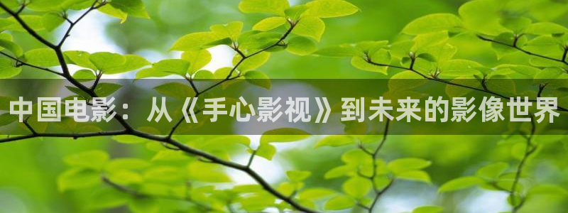 青丝影院免费观看电视剧青丝